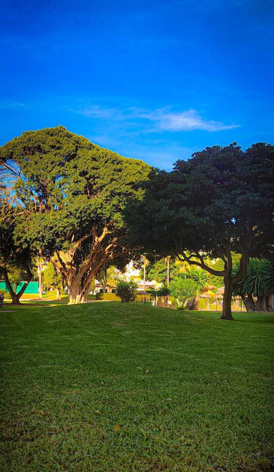 베날마데나코스타 Kaizen. Terraza, Piscinas, Playa A 5 Minutos. 아파트 외부 사진